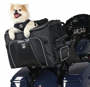 Photo of Rover on Black Harley Davidson - Top Open, dog popping head out